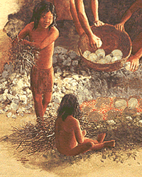 illustration of bulbs and roots of plants being loaded into an earth oven