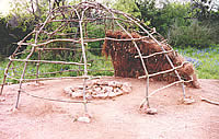 photograph of the skeleton exterior and interior of a wickiup