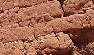 photograph of mortared mud bricks