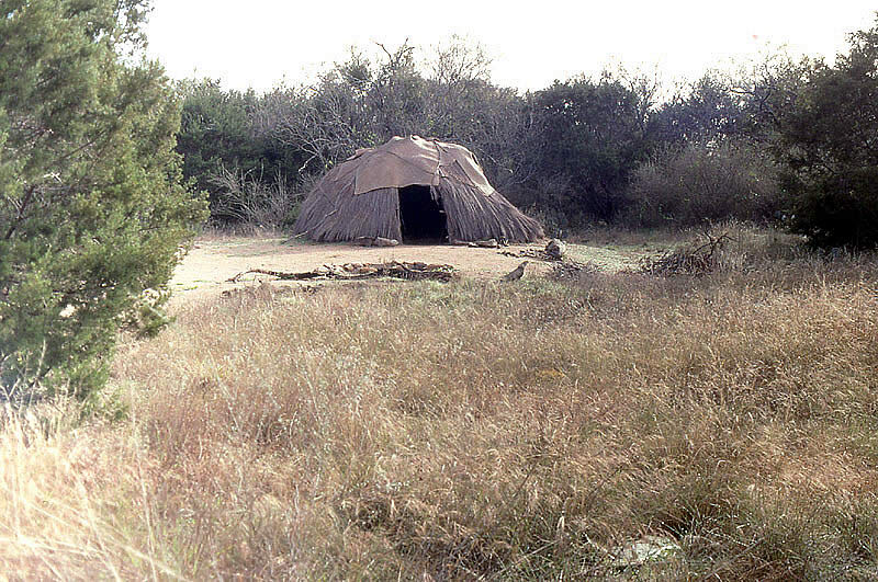 photograph of a brush shelter in nature