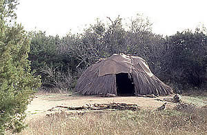 photograph of a brush shelter in nature