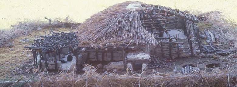 photograph of a squat, thatch roofed house