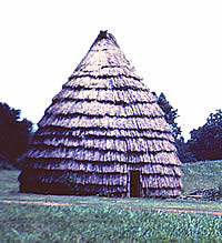 photograph of a Caddo grass house