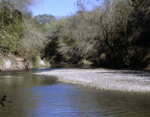 photo of nueces river gravels