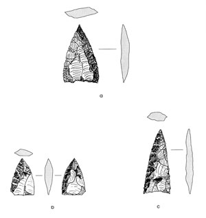 illustration of changes in projectile point morphology