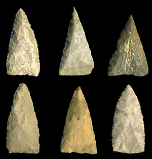 photo of Tortugas dart points
