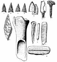 Drawing of stone and bone tools. 