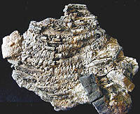 Photo of a charred and smashed basket fragment.