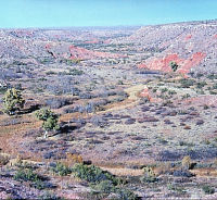 Photo of dry valley with red-colored walls. 