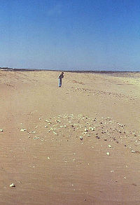 Photo of scatter of broken bones and stones surrounded by  low sand dunes.